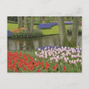 Recherche de dutch cartes postales Europe