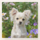 Suche nach niedliche welpen untersetzer Für sie