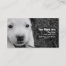 Recherche de séance de chien cartes visite Animaux familiers