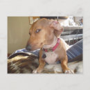 Recherche de bonbons cartes postales Friend