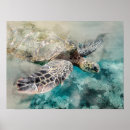 Suche nach meeresschildkröten poster Aquarell
