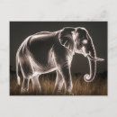Suche nach schwarz weißer elefant postkarten Wild