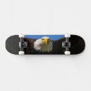Recherche de tête skateboards Aigle