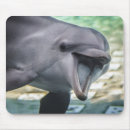 Recherche de dauphin mignon tapis souris Nature