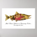 Suche nach coho poster Sockeye