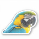 Recherche de macaw autocollants Tropical