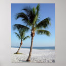 Suche nach florida strand poster Ozean