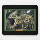 Recherche de animal zoo tapis souris Léopard
