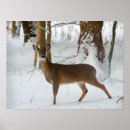 Recherche de cerf art Neige