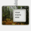 Suche nach fern ornamente Landschaft