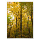 Suche nach milben poster Michigan