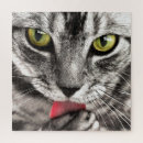 Recherche de visage puzzles Chat