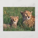 Suche nach mutter afrika poster Familie