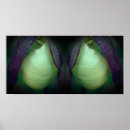 Recherche de orchidée blanche posters Pour elle