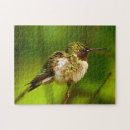 Recherche de hummingbird puzzles Oiseau