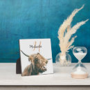 Recherche de vaches plaques Écossais
