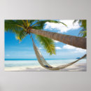 Recherche de palmiers posters Voyage