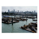 Recherche de otarie posters San francisco