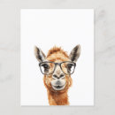 Suche nach niedliches kamel postkarten Wüste