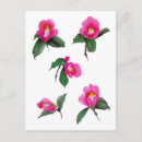 Suche nach rosa kamelie postkarten Blume
