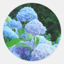 Suche nach hydrangea siegel aufkleber Bride