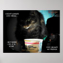 Suche nach lol katze Lol katzen