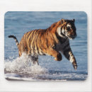 Suche nach bengalischer tiger mousepads Horizontal