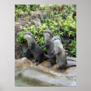 Suche nach otter poster Wildtier
