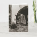 Recherche de de copain vœux cartes Doux