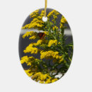 Suche nach gelber schmetterling ornamente Natur