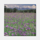 Suche nach anchorage magnete Natur