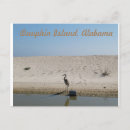 Suche nach dauphin Alabama