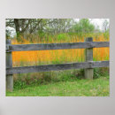 Recherche de clôture posters Nature