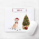 Suche nach lustige chihuahua mousepads Humor