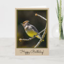 Suche nach waxwing karten Schwingend