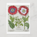 Suche nach hortus postkarten Schule