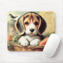 Recherche de chiot beagle tapis souris Mignonette