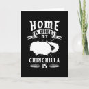 Recherche de chinchilla cartes postales Animal