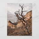 Suche nach verben poster Park