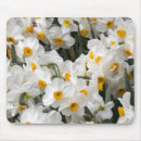 Suche nach jamie mousepads Bundesstaat washington