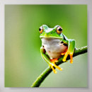 Recherche de grenouille de saut posters Sauter