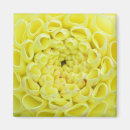 Recherche de floraison magnets Abstrait