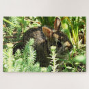 Suche nach gräser puzzle Fotografie