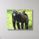 Suche nach gorilla leinwandbilder Tiere