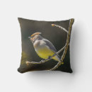 Recherche de cèdre coussins Oiseau