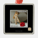 Suche nach der tango ornamente Ich kann habe cheezburger