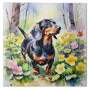Suche nach dachshund fliesen Tier