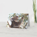 Recherche de koala anniversaire cartes Nature