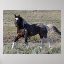 Suche nach ken archer poster Ranch
