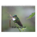 Suche nach reptil kalender Galapagos